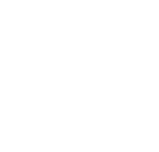 MEDIA FOX