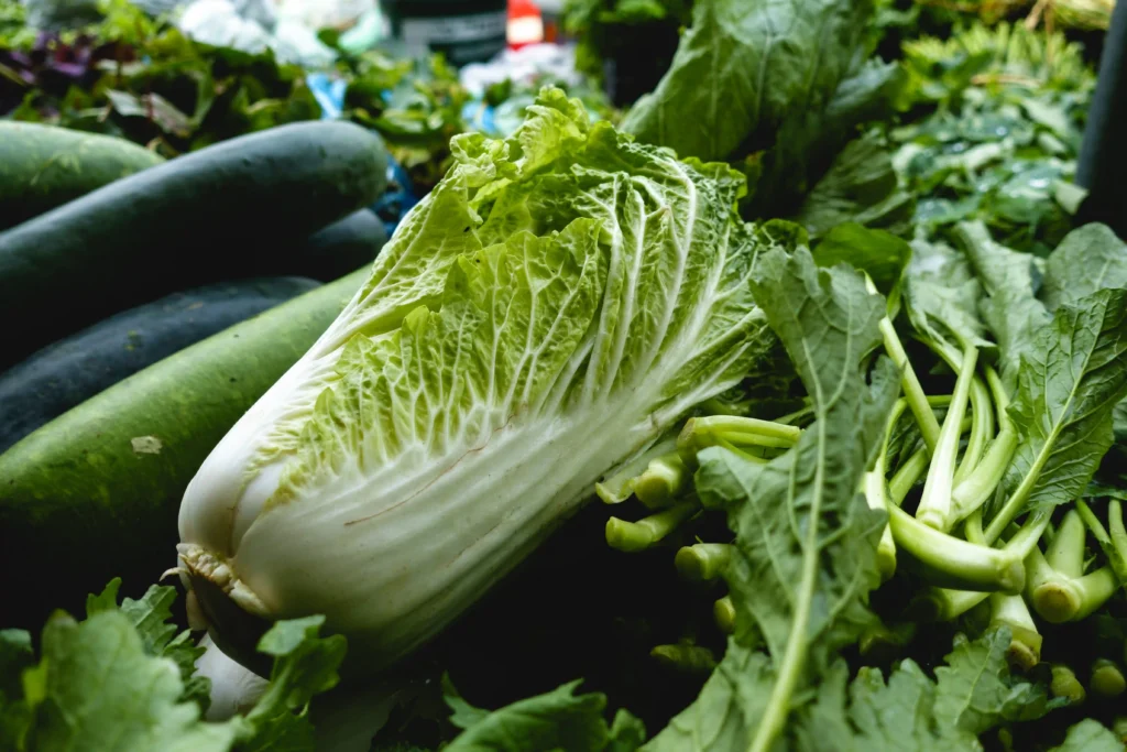 Raw Napa Cabbage